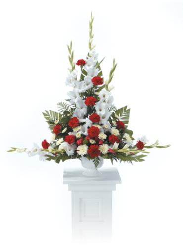 Tribute in Red & White