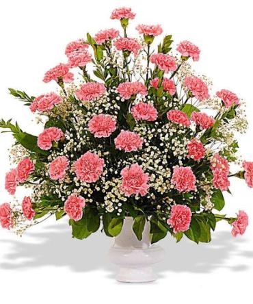 Pink Carnation Tribute