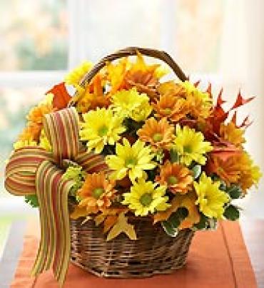 Fall Basket of Daisies