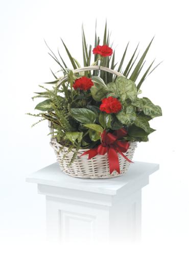 Dish Garden with flowers