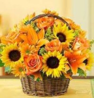 Basket of Shushine