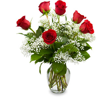 \"The Classic\" Half-Dozen Roses