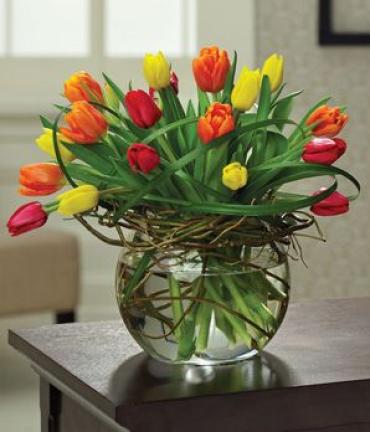 Tulips