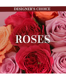 Roses, Mixed Colors