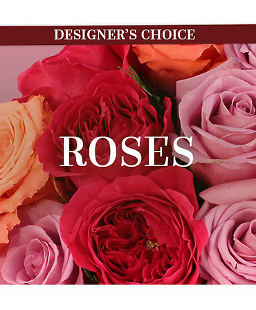Roses, Mixed Colors